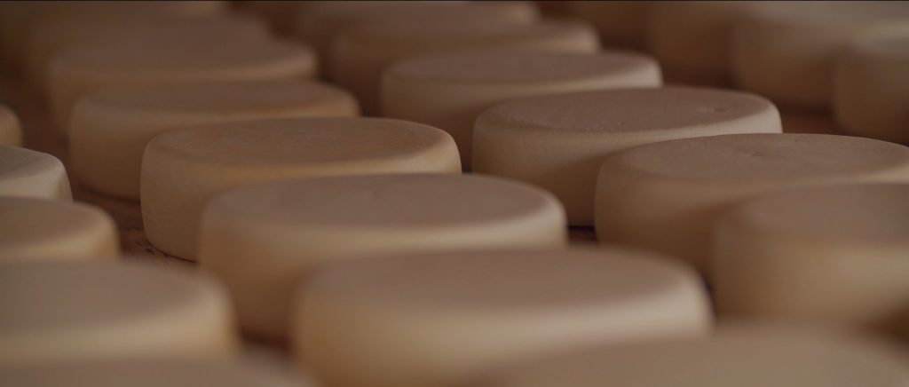 Canastra Queijo de Ouro