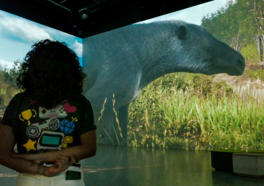 Ypykuéra: Povos Originários e a Megafauna - MIS CE - divulgação