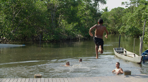Imagem do documentário "Impacta Oceano: Mangue é Vida".