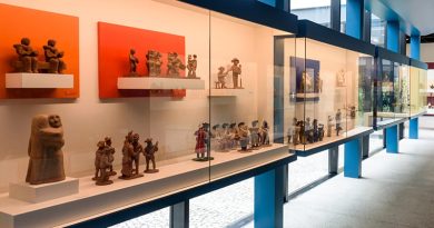 Museu do Pontal - reprodução site