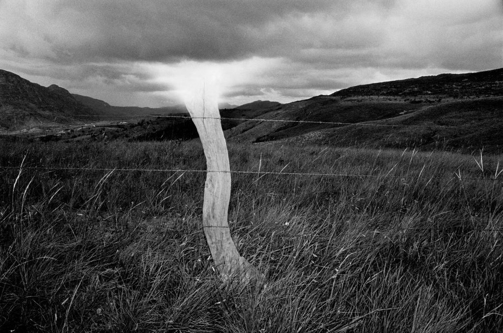 MAM - Museu de Arte Moderna de São Paulo. Pedro Motta, Treme Terra, 1998_2008