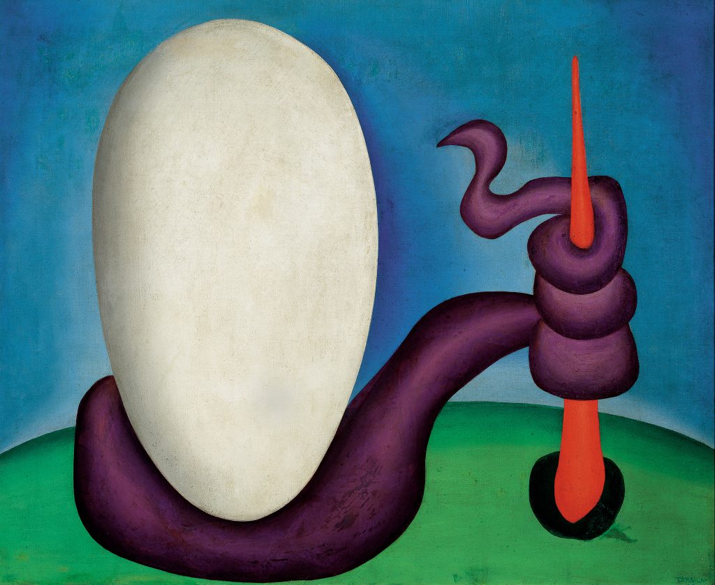 Tarsila do Amaral - Foto Jaime Acioli