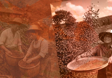 Documentário revela a transformação econômica do Jequitinhonha pela cafeicultura