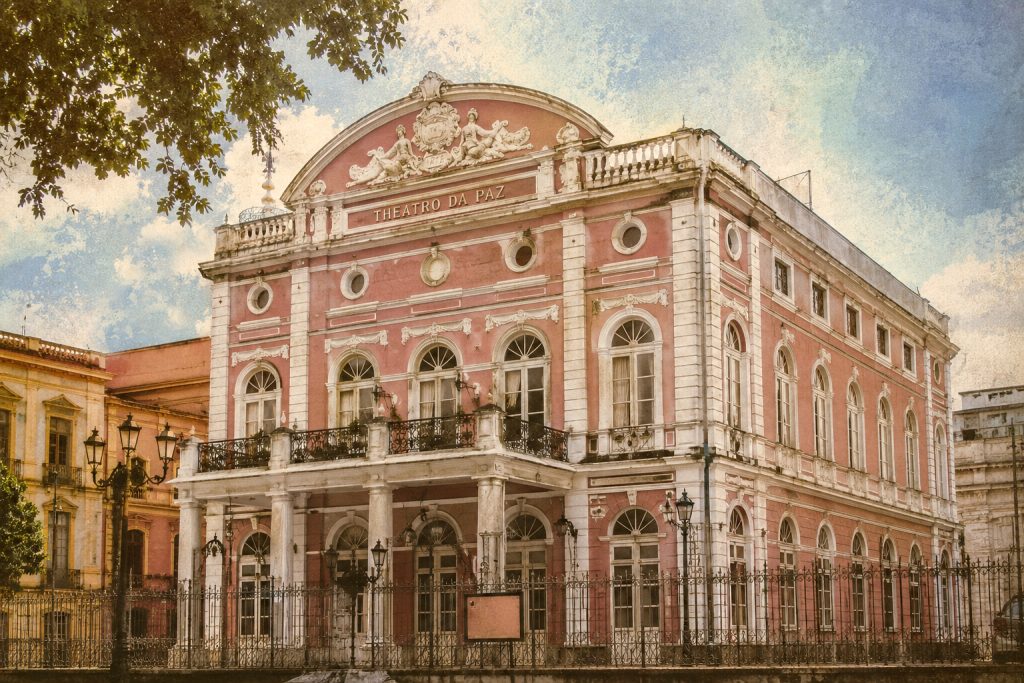 Revista Raiz