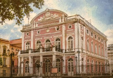Revista Raiz