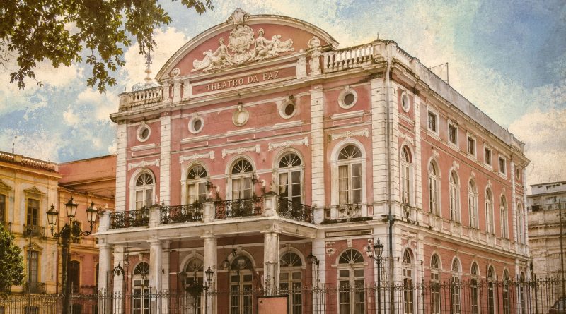 Revista Raiz