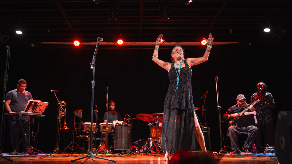 divulgação - Festival de Música Doida