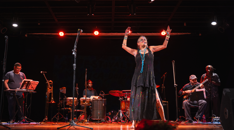 divulgação - Festival de Música Doida