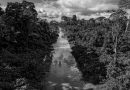 Foto de Lalo de Almeida | fotógrafo participa do bate-papo Territórios em Transformação, no sábado (8), às 15h, no Sesc Campinas