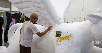 Exposição Carnaval - Foto Fabio Souza