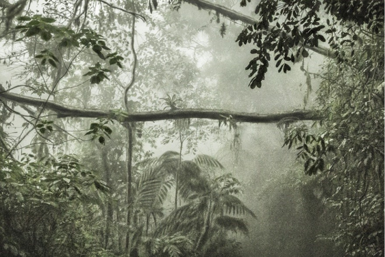 Imagem pitoresca pelo Brasil - foto Cássio Vasconcellos