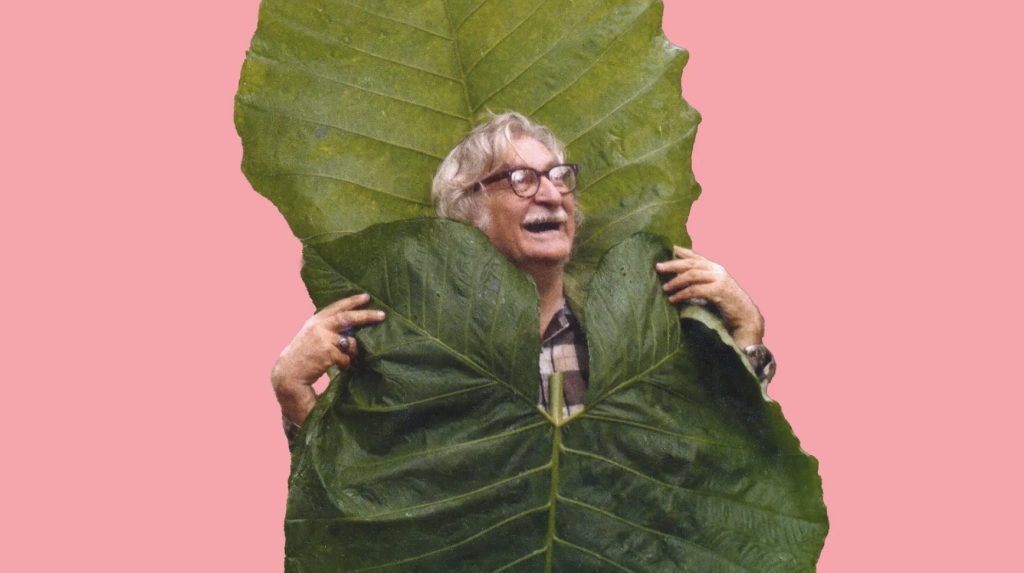 Roberto Burle Marx, 1974 © Roberto Burle Marx, 1974, Foto: Luiz Knud Correia de Araújo, Archive of Luiz Antonio Correia de Araújo