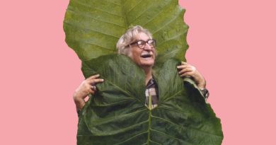 Roberto Burle Marx, 1974 © Roberto Burle Marx, 1974, Foto: Luiz Knud Correia de Araújo, Archive of Luiz Antonio Correia de Araújo