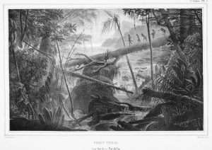 Jean-Baptiste Debret Forêt vierge: les bords du Parahïba [Florestas virgens – Às margens do Paraíba] In: Voyage pittoresque et historique au Brésil [Viagem pitoresca e histórica ao Brasil] 1834 Litogravura sobre papel Acervo Biblioteca Brasiliana Guita e José Mindlin – Pró-Reitoria de Cultura e Extensão Universitária da Universidade de São Paulo 